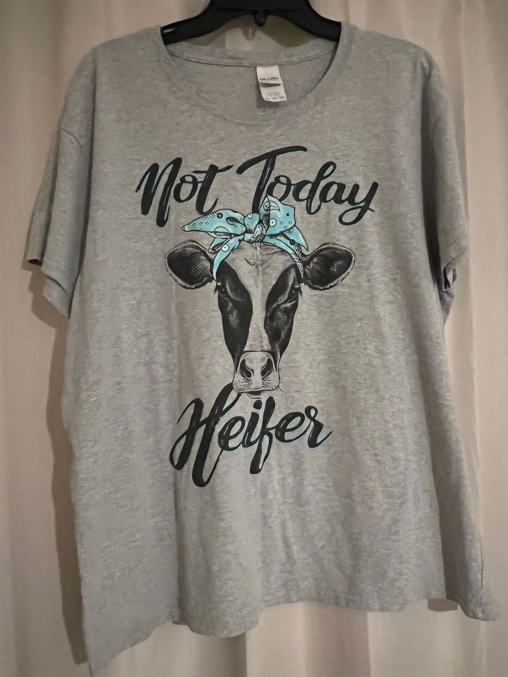Gildan Women’s 2XL Gray “Not Today Heifer” Cow Graphic T-Shirt